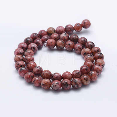 Natural Larvikite Beads Strands G-E443-A19-1
