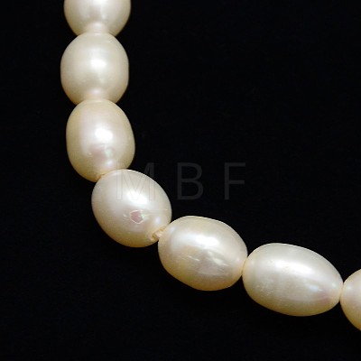 Grade AAA Natural Cultured Freshwater Pearl Beads Strands PEAR-L001-C-09-1