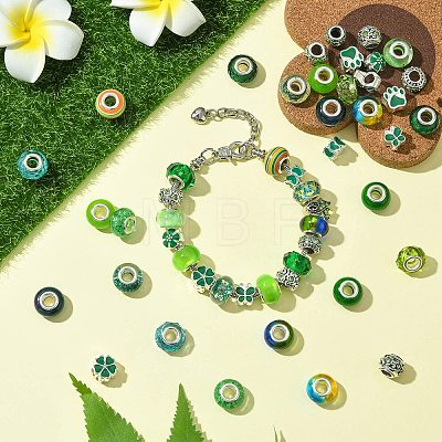 50Pcs Resin European Beads RESI-CJC0050-01A-1