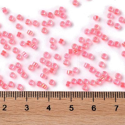 Glass Seed Beads SEED-S042-13A-07-1