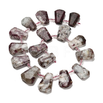 Natural Plum Blossom Tourmaline Beads Strands G-H078-A01-02-1