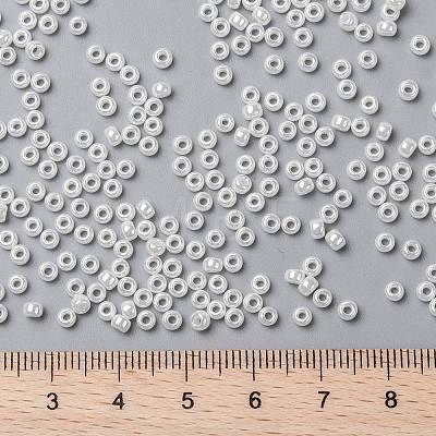 MIYUKI Round Rocailles Beads X-SEED-G008-RR0528-1