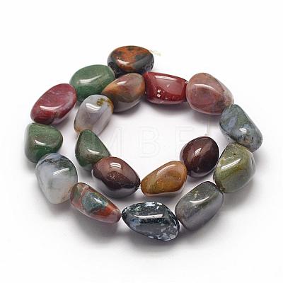 Natural Indian Agate Beads Strands G-P301-14-1