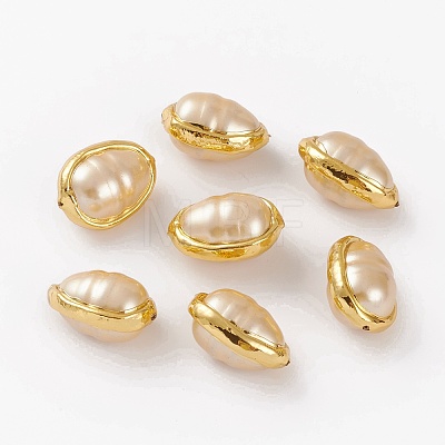 Natural Shell Beads BSHE-C001-04G-1