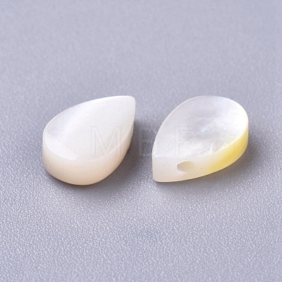 Natural Sea Shell Beads SSHEL-R038-20-1