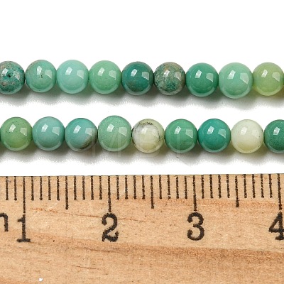 Natural Green Grass Agate Beads Strands G-NH0001-D03-01-1