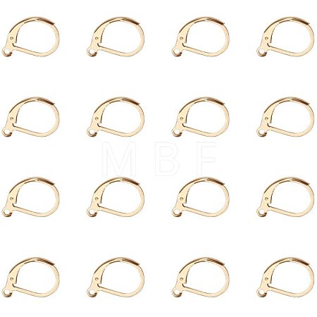 304 Stainless Steel Leverback Earring Findings STAS-PH0018-28G-1