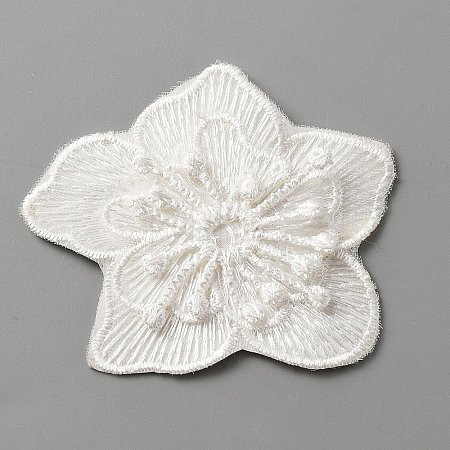 Computerized Embroidery Lace Self Adhesive/Sew on Patches DIY-WH0410-49E-1