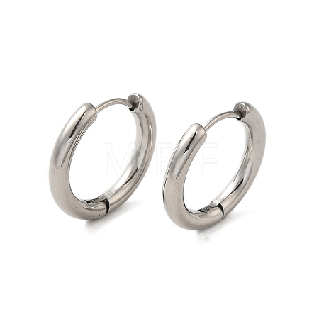 Tarnish Resistant 304 Stainless Steel Hoop Earrings EJEW-P177-P-22-1