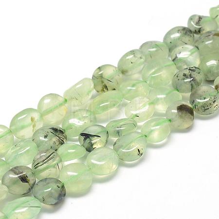 Natural Prehnite Beads Strands G-R445-8x10-25-1
