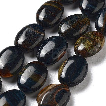 Natural Blue Tiger Eye Beads Strands G-P528-M23-01-1