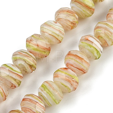Handmade Lampwork Beads Strands LAMP-T007-13J-1