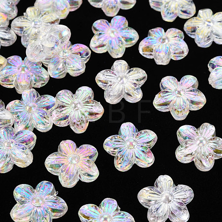 Transparent Acrylic Beads TACR-S154-45C-205-1