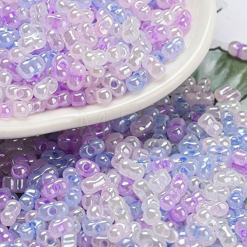 Ceylon Glass Seed Beads SEED-K009-02B-36-1