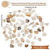 Natural Rutilated Quartz Chip Beads G-SC0001-31-2