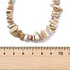 Natural Freshwater Shell Chip Beaded Necklaces NJEW-JN06271-4