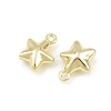 Alloy Charms AL-CBA15FB-13G-2
