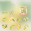 10PCS PET Self-Adhesive Fruit Stickers PW-WG3D8B8-04-1