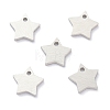 Tarnish Resistant 304 Stainless Steel Pendants STAS-K216-46P-2