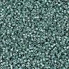 MIYUKI Delica Beads SEED-MY11-DB0416-3