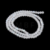 Transparent Glass Beads Strands LS-EGLA-A044-T4mm-MB19-4
