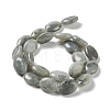 Natural Labradorite Beads Strands G-L164-A-34-3