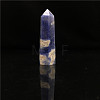 Point Tower Natural Sodalite Home Display Decoration PW23030663539-1