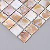 Natural Freshwater Shell Mosaic Tile Cabochons SHEL-Q029-05A-2