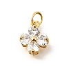 Brass Micro Pave Cubic Zirconia Pendants X-KK-V008-11G-04-1