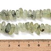Natural Prehnite Beads Strands GG-CBAC61B-C02-01-5