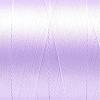210D/3 Tex70 Nylon Sewing Thread NWIR-N006-01G1-0.2mm-2
