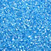 Glass Bugle Beads SEED-S032-10A-163-3