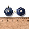 Dyed Natural Lapis Lazuli Pendants G-P588-02G-05-3