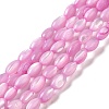 Natural Trochus Shell Beads Strands X-SHEL-K006-19A-1