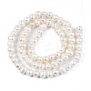 Natural Cultured Freshwater Pearl Beads Strands PEAR-N013-04A-2