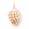 Natural Conch Shell Big Pendants PALLOY-JF01204-2
