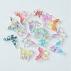 Translucent Resin Cabochons RESI-E039-24-1