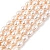 Natural Cultured Freshwater Pearl Beads Strands PEAR-I007-01D-07C-2