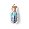 5Pcs 5 Styles Clear Glass Wishing Bottle with Mixed Gemstone Chip Inside Pendants PALLOY-JF04164-3