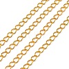 Iron Twisted Chains CH-0.8DK-G-1