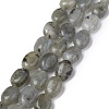 Natural Gray Labradorite Beads Strands G-Z006-A12-1