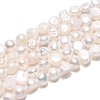 Natural Cultured Freshwater Pearl Beads Strands PEAR-T006-18C-2