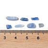 Natural Kyanite/Cyanite/Disthene Chip Beads Beads X-G-L588-01-3