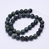 Natural Kambaba Jasper Beads Strands G-D744-10mm-2