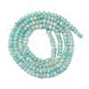 Faceted Rondelle Natural Amazonite Bead Strands G-F289-06A-5