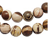 Natural Australia Zebra Stone Beads Strands G-H125-6mm-1