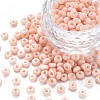 6/0 Glass Seed Beads SEED-T005-14-B02-1