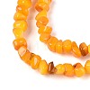 Natural Freshwater Shell Beads Strands SHEL-N037-04G-3