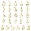 Brass Micro Pave Cubic Zirconia Charms KK-D289-66G-1