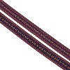 Ethnic Style Embroidery Flat Polyester Elastic Rubber Cord/Band OCOR-WH0079-98A-1